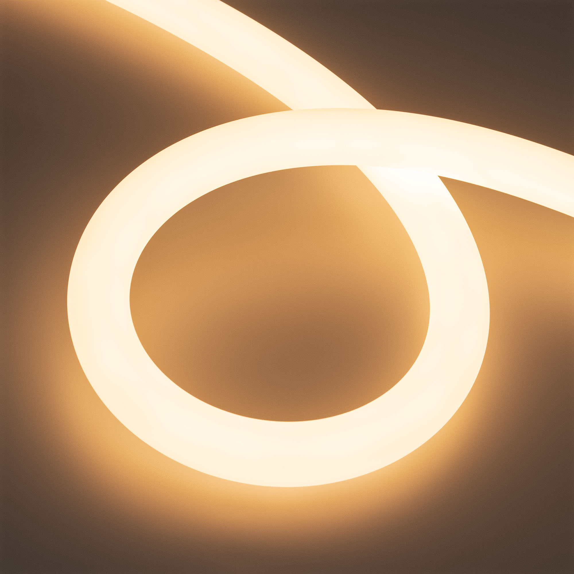 Arlight Лента герметичная MOONLIGHT-TOP-A336-D30mm 24V Warm3000 (14.4 W/m, IP65, 5m, wire x1) (Вывод прямой, 3 года) фото
