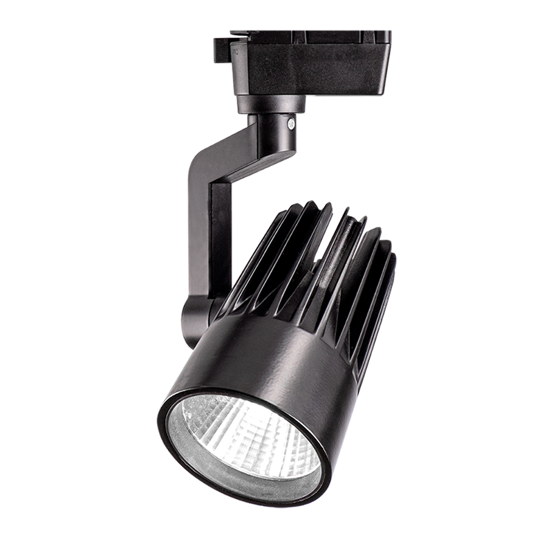 Jazzway PTR 0130-2 30w 3000K 24° BL (чёрный) IP40 фото