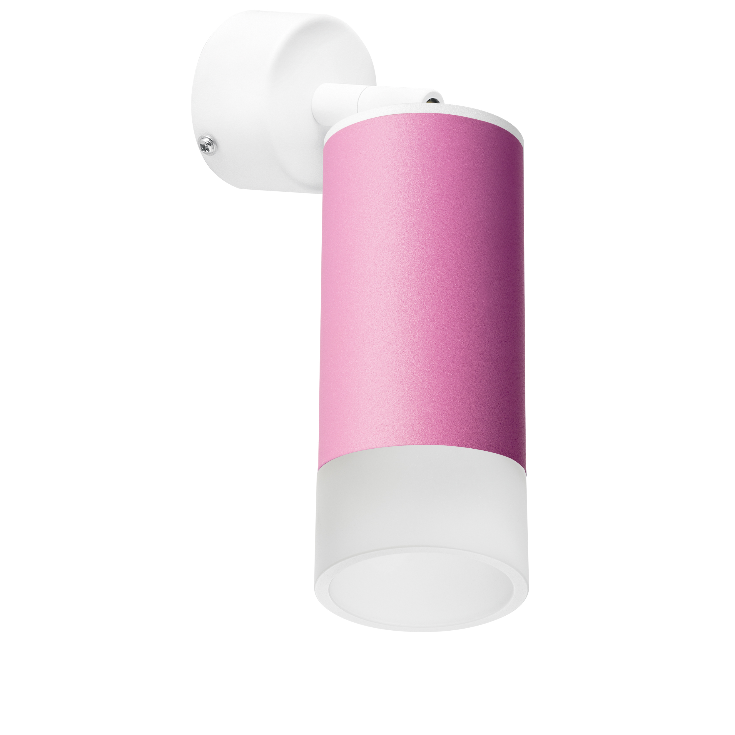 Lightstar Комплект со светильником Rullo Rullo Lightstar RB43231 фото