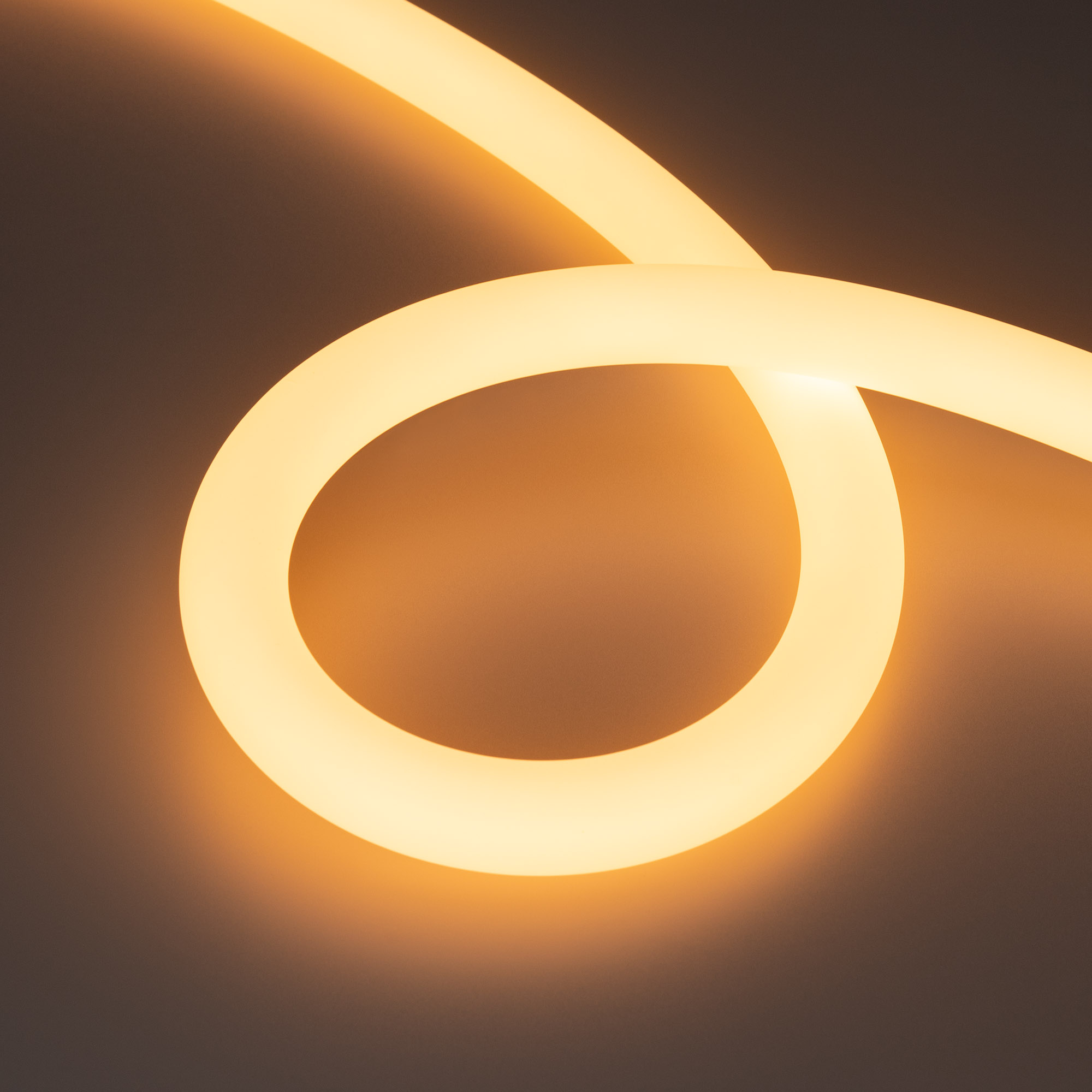 Arlight Лента герметичная MOONLIGHT-SIDE-A336-D25mm 24V Warm2300 360deg (14.4 W/m, IP65, 2835, 5m, wire x1) (Боковой вывод кабеля) фото