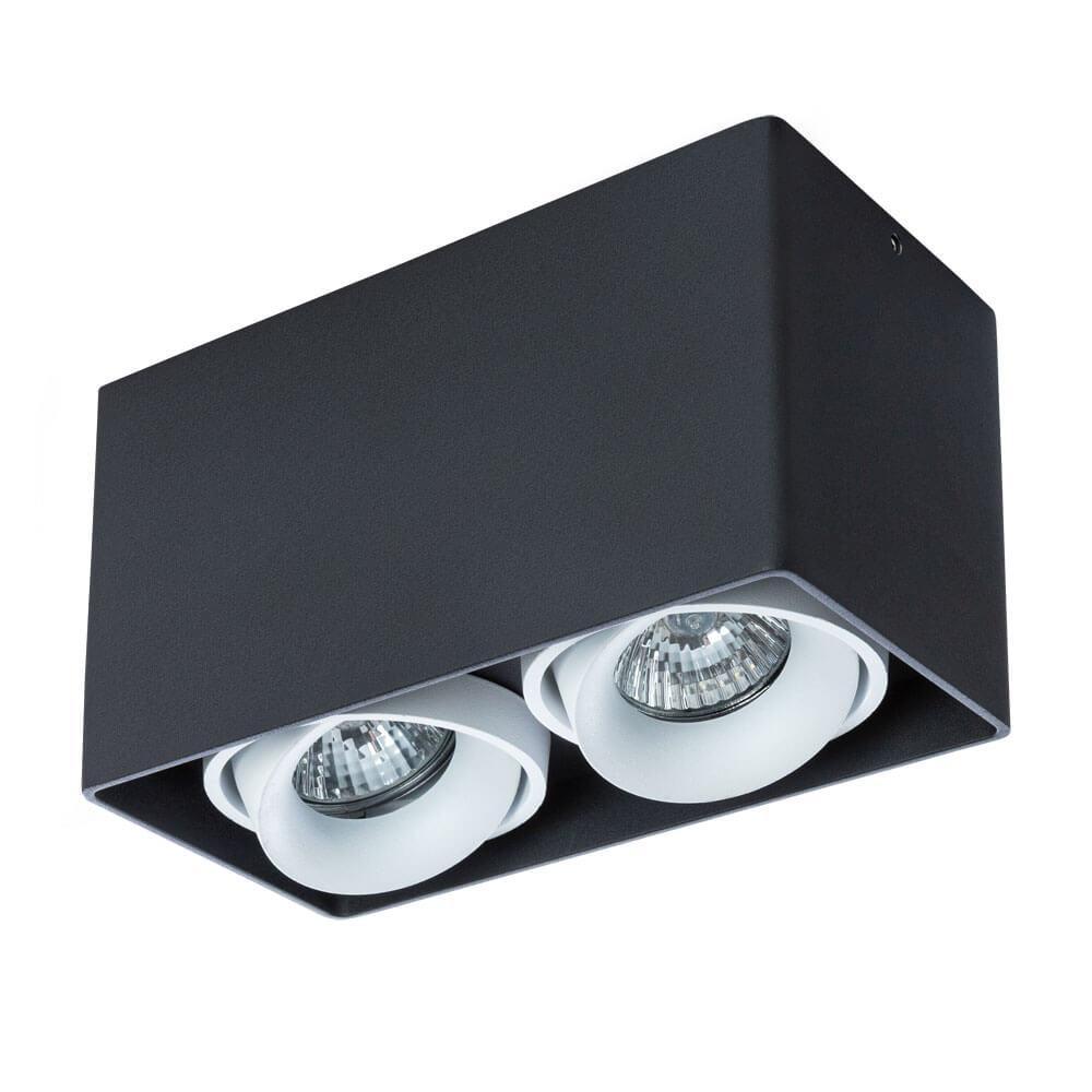 Arte Lamp PICTOR Потолочные светильники A5654PL-2BK фото