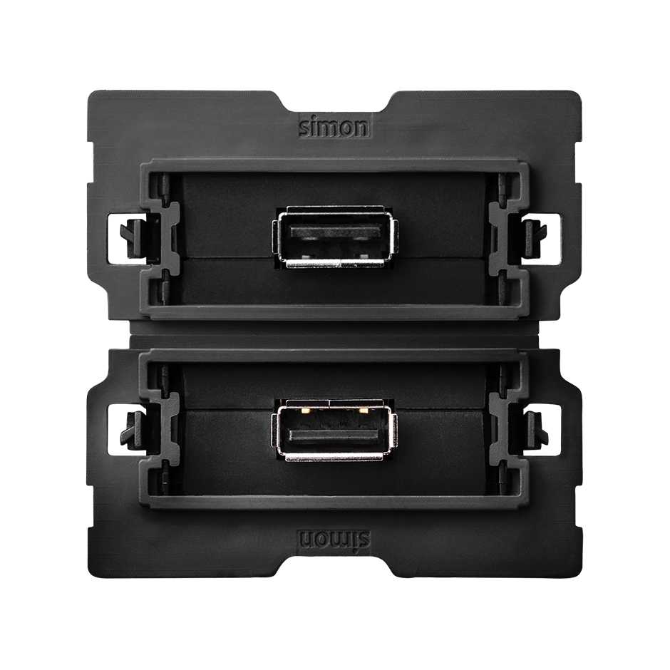 Simon 100 Розетка 2xUSB 2.0 фото