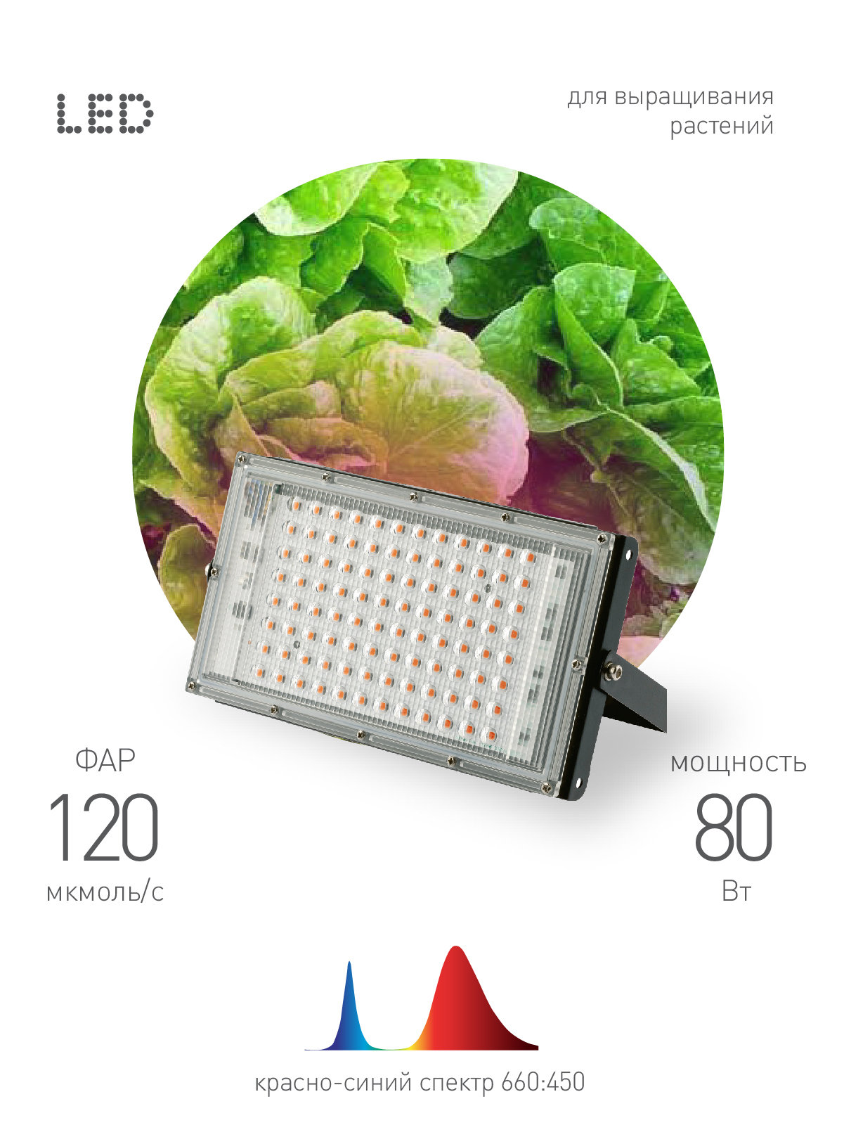 ЭРА Фитопрожектор для растений светодиодный FITO-80W-RB-LED-Y красно-синего спектра фото