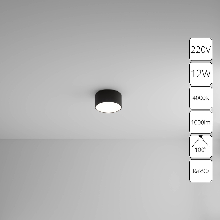 Arte Lamp A6612PL-1BK СВЕТИЛЬНИК ПОТОЛОЧНЫЙ FADO 115мм 12Вт 960Лм 4000К фото