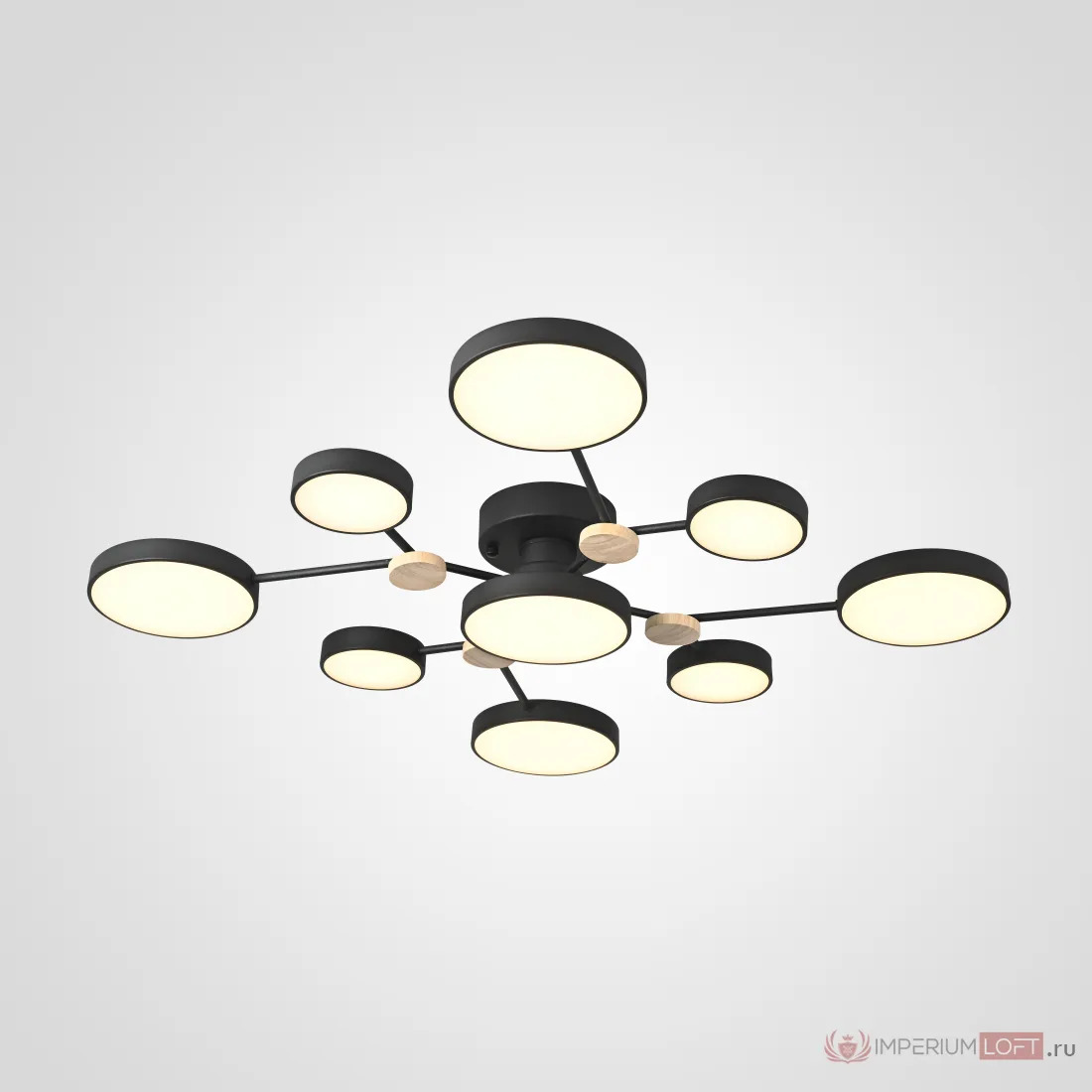 ImperiumLoft Потолочная люстра GAMMA D98 Black фото