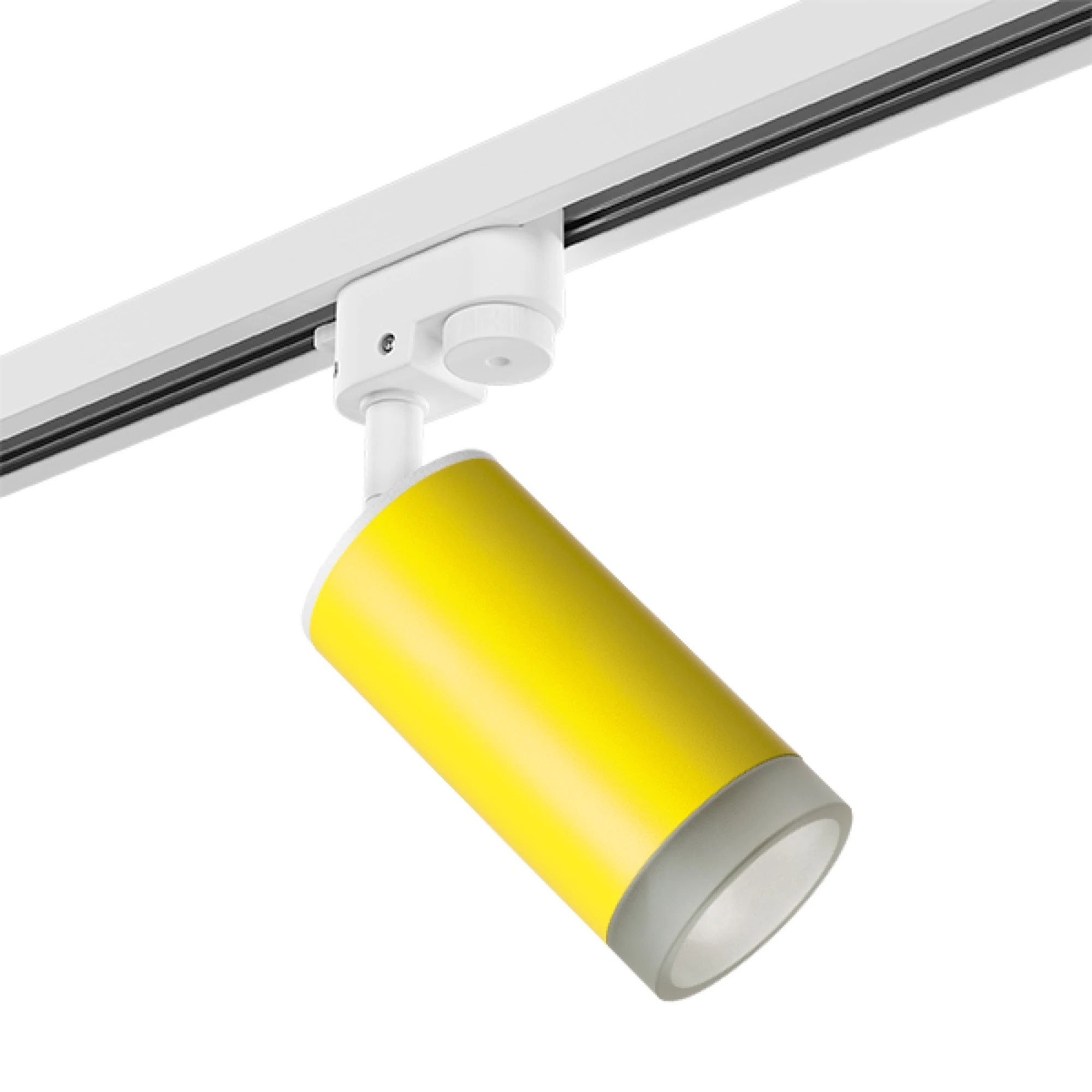 Lightstar Комплект со светильником Rullo Rullo Lightstar R1T43330 фото