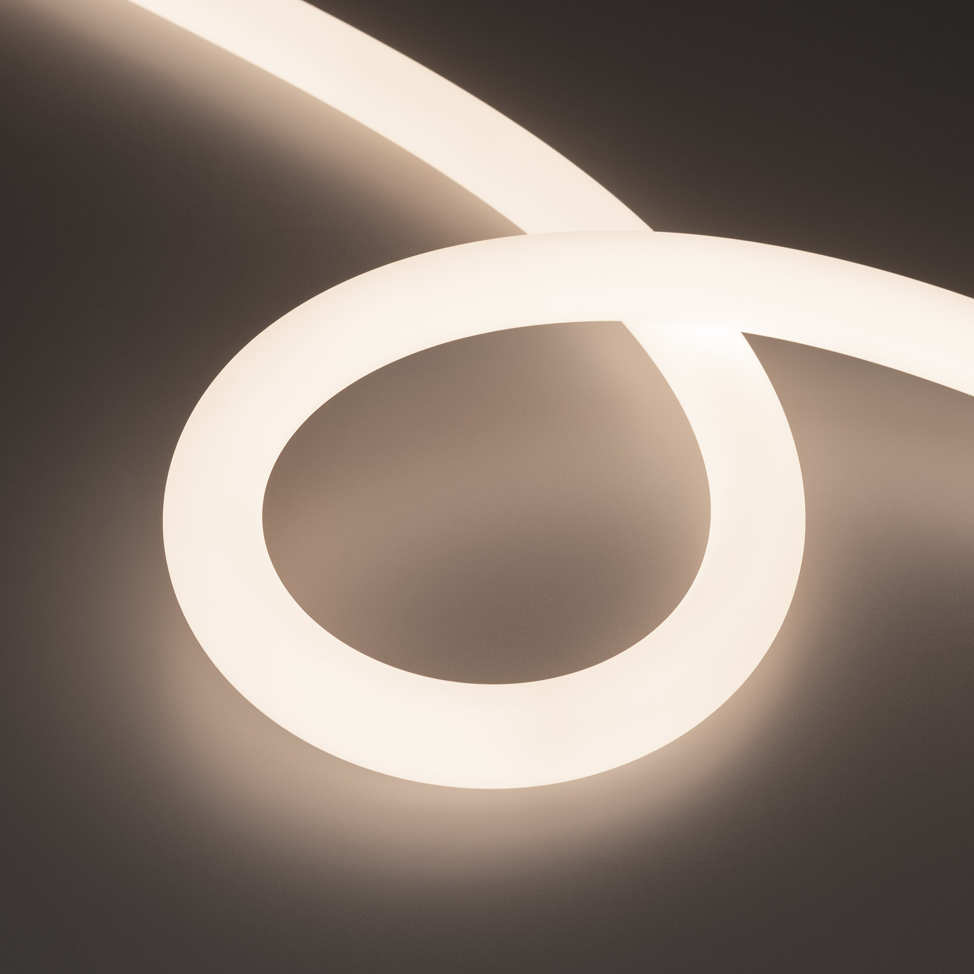 Arlight Лента герметичная MOONLIGHT-TOP-A336-D25mm 48V Day4000 360deg (12.5 W/m, IP65, 2835, 20m, wire x1) (Прямой вывод кабеля) фото