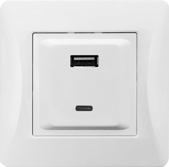 Розетка 2xUSB A/C, 125-250V (белый) фото