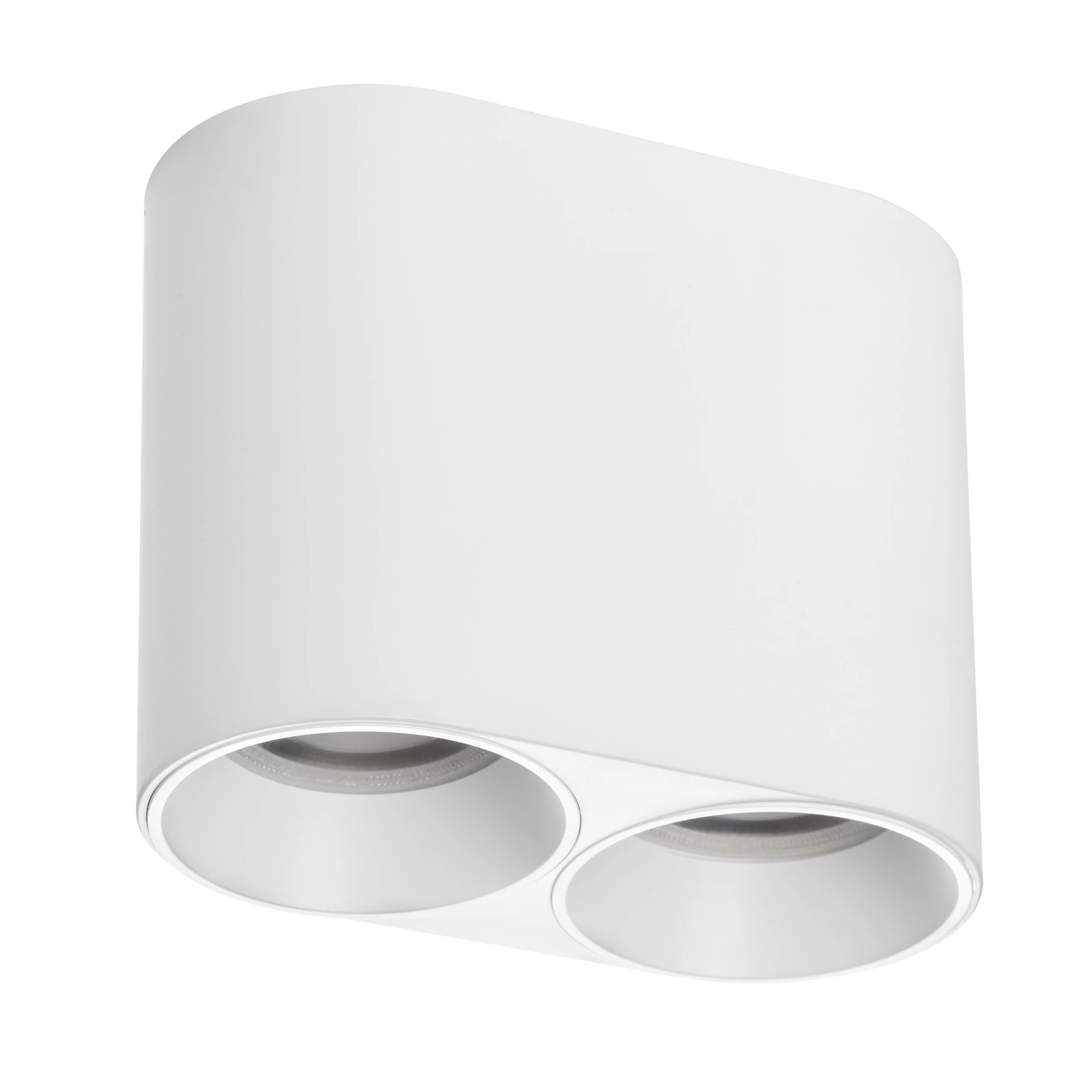 Lightstar 213466 Рамка (светильник) PVC д/LED-модулей 941хх и LED-ламп D50мм RULLO 2x ROUND БЕЛЫЙ, шт фото