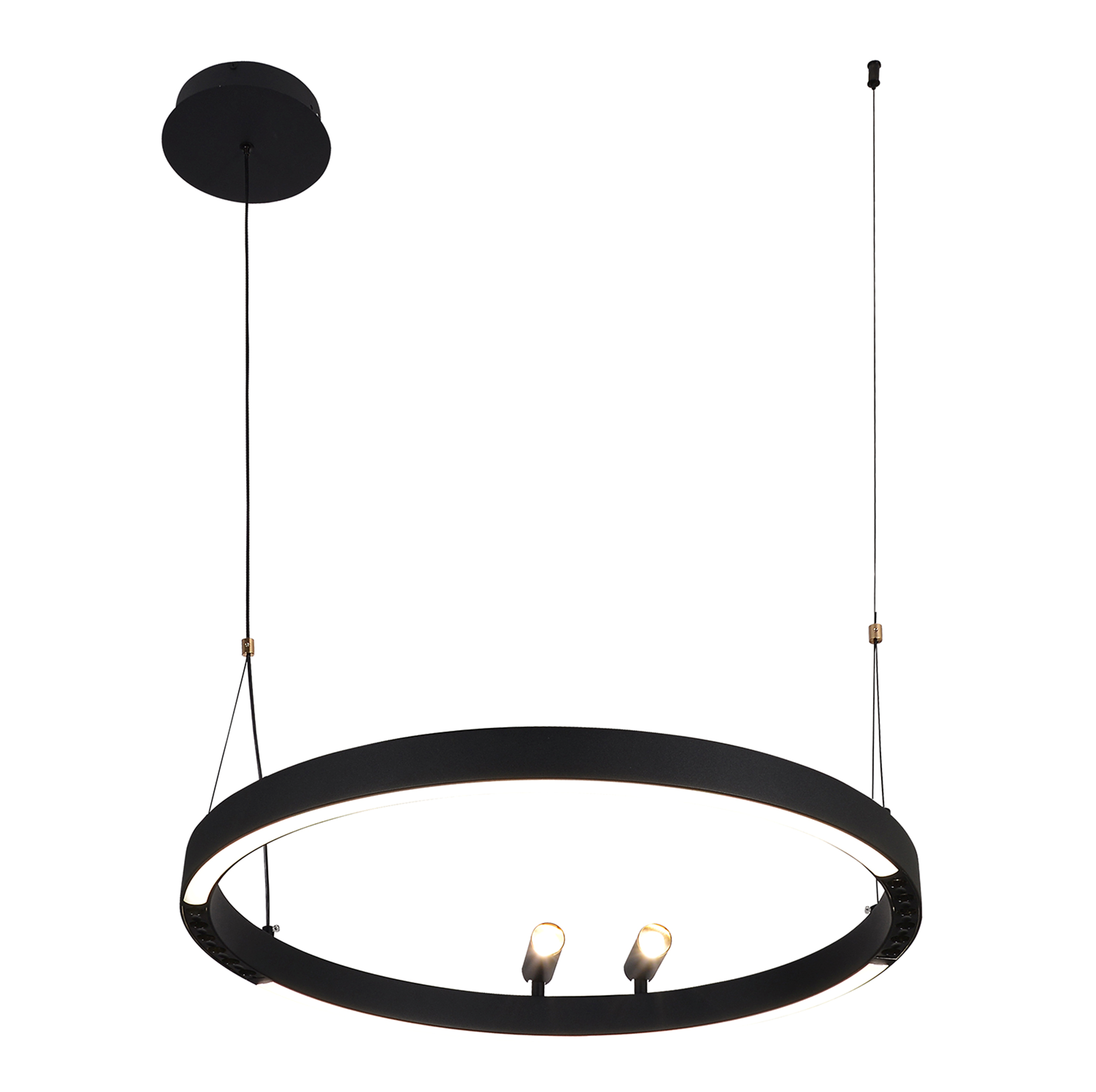 F-Promo 4474-1P, подвесная люстра, D600xH1000/1800, LEDx58W + 2xLEDx3W, 3000-6500K, included, remote control фото