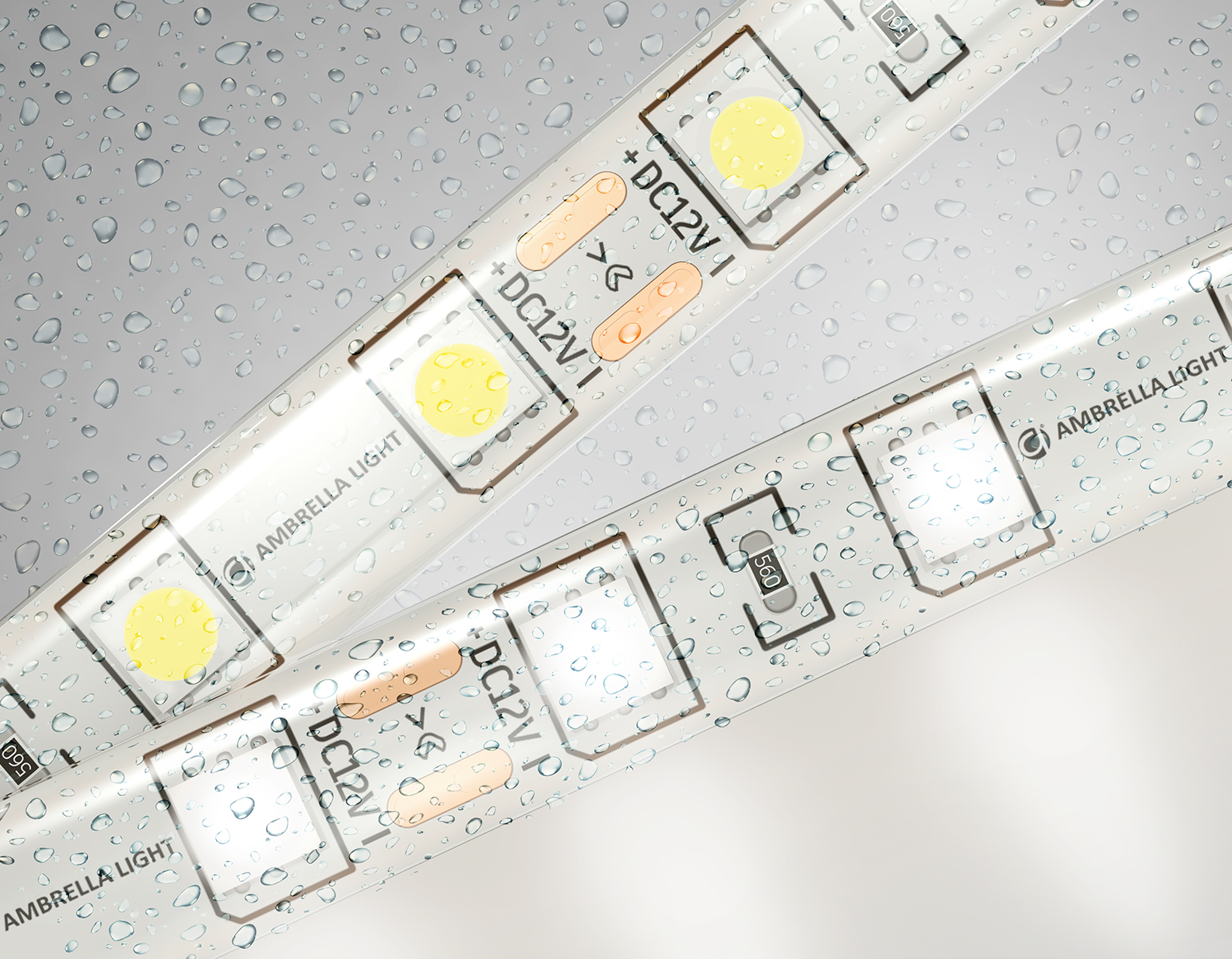 Ambrella Светодиодная лента Light GS2102 5050 60Led /14.4W m/ 12V IP65 4500K 5m фото