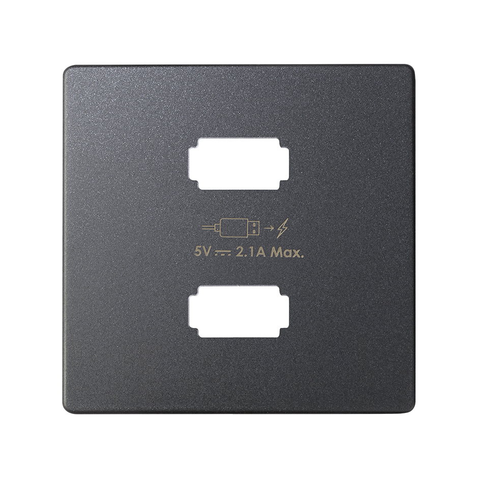 Simon 82 Detail Графит Накладка для зарядного устройства 2*USB фото