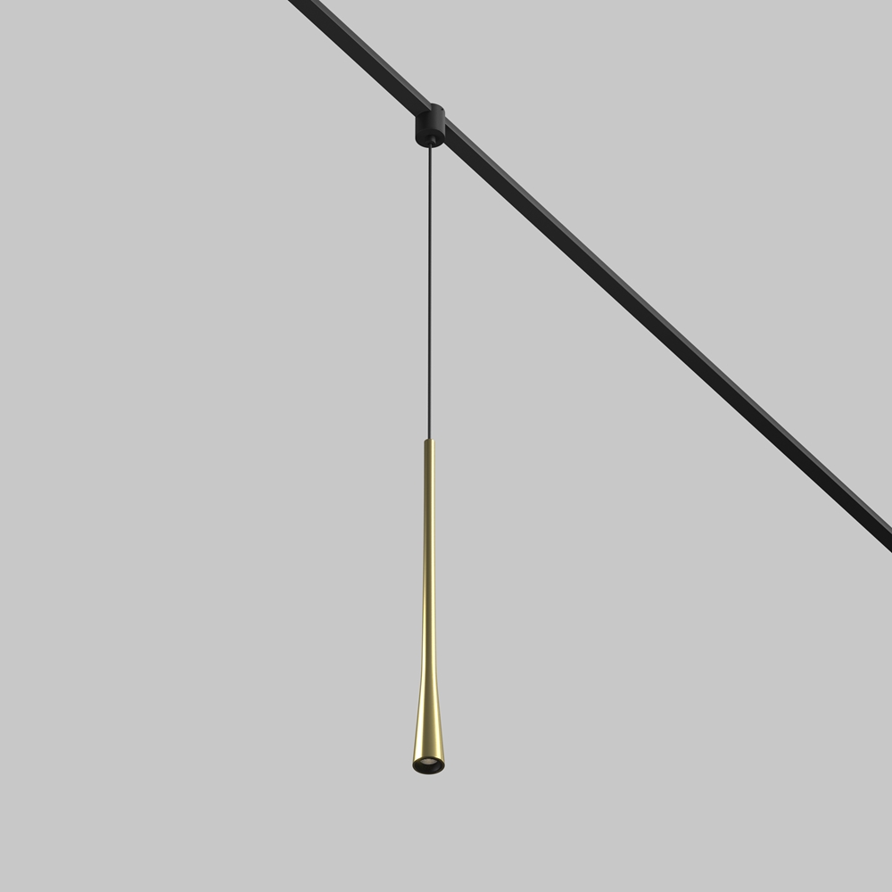 Maytoni Technical Трековый подвесной светильник TR167-1-7W3K-M-BS фото