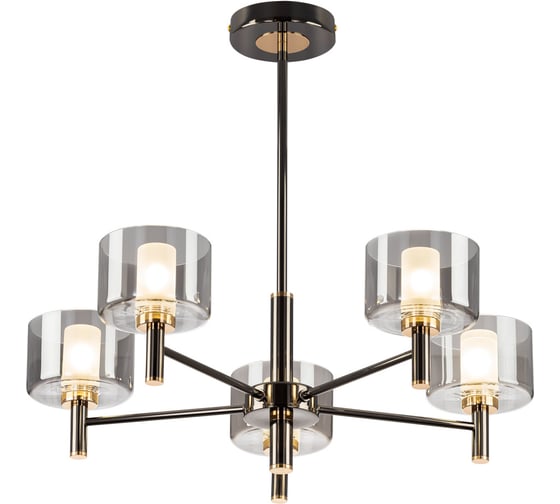 Citilux CL241151 Люстра на штанге ELAN фото