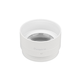 Arlight Насадка с фиксированным углом LGD-ARTIFACT-LENS-R65 (WH, 30 deg) (Металл) фото