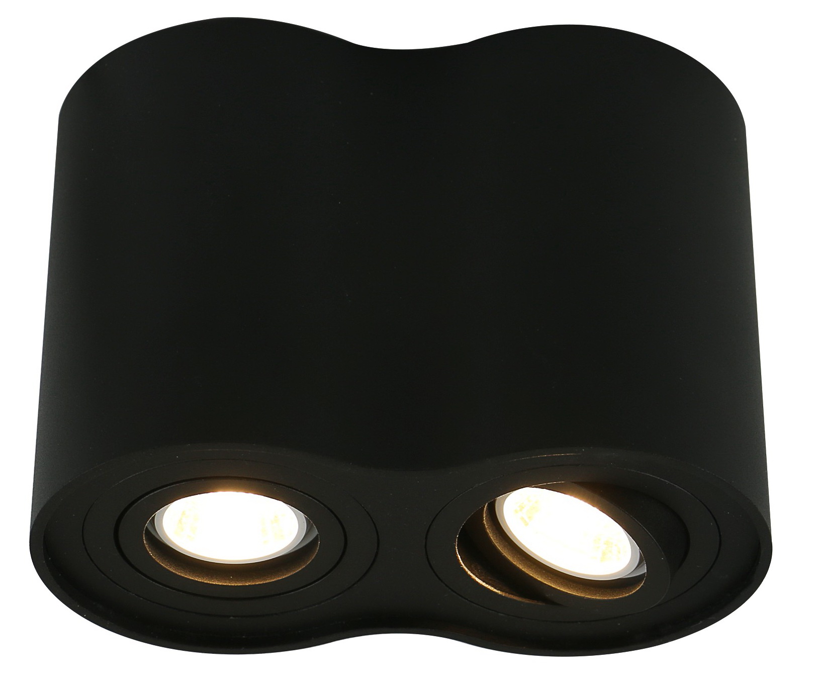 Arte Lamp FALCON Потолочные светильники A5644PL-2BK фото