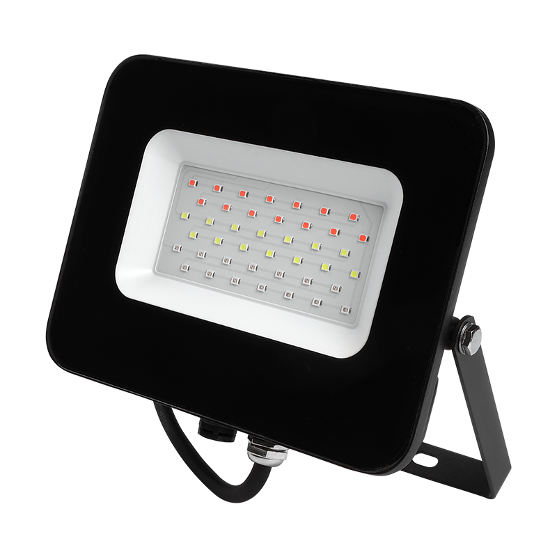 Jazzway PFL- 30W RGB BL IP65 Прожектор Черный фото