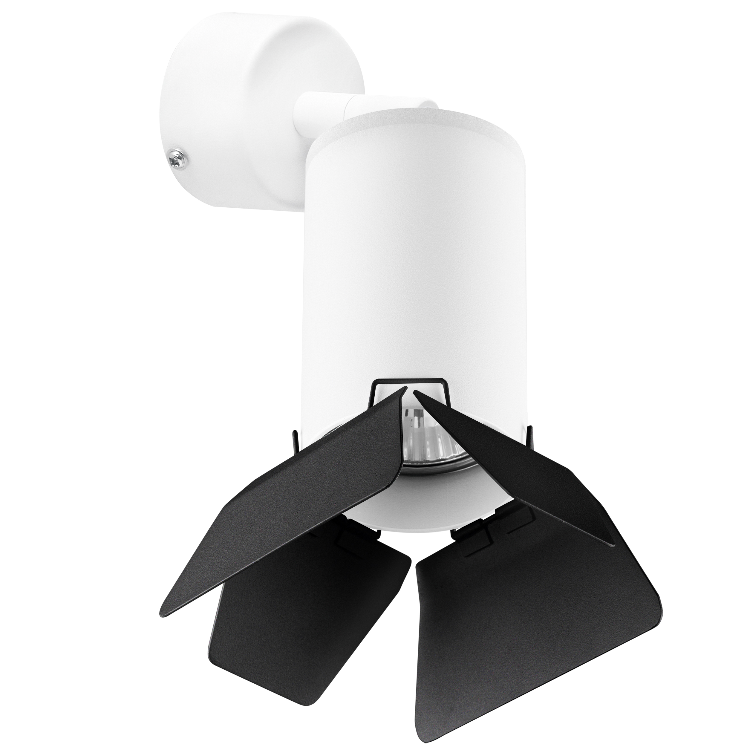 Lightstar Комплект со светильником Rullo Rullo Lightstar RB436437 фото