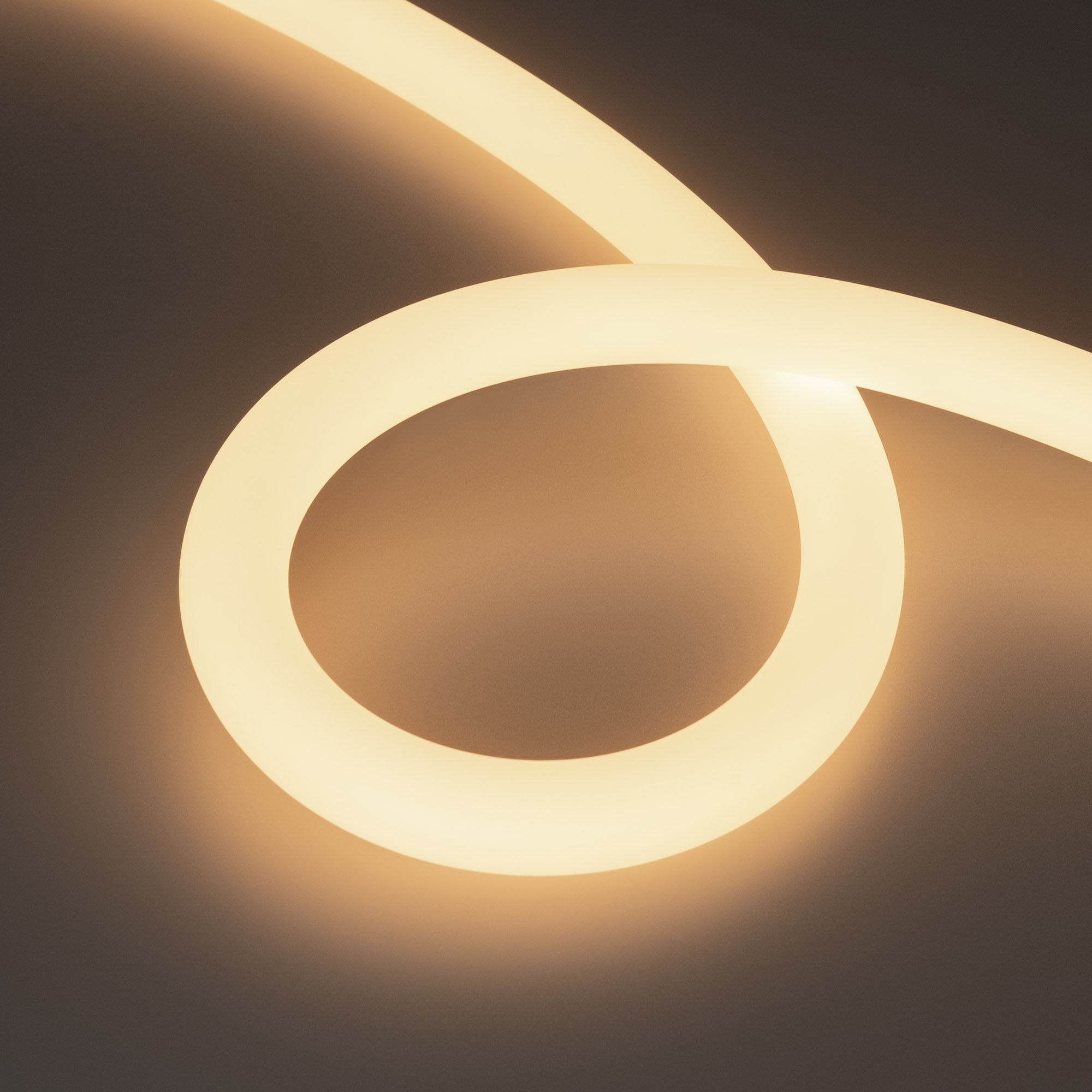 Arlight Лента герметичная MOONLIGHT-TOP-A336-D25mm 24V Warm3000 360deg (14.4 W/m, IP65, 2835, 5m, wire x2) ( Прямой вывод кабеля) фото