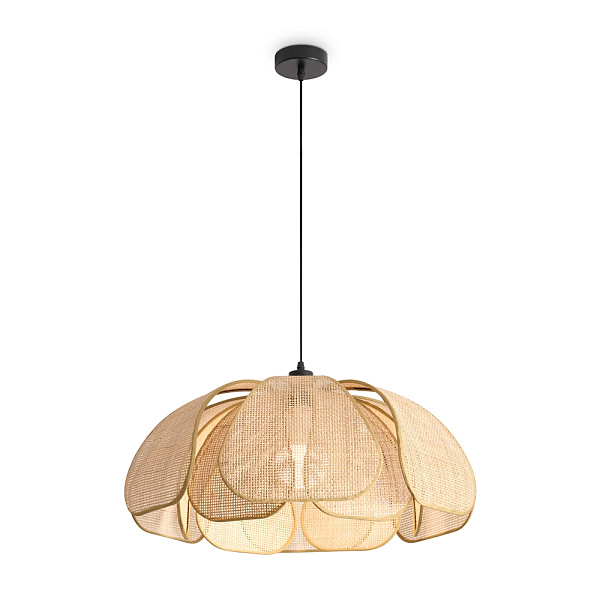 Freya Подвесной светильник Modern FR5529PL-01B фото