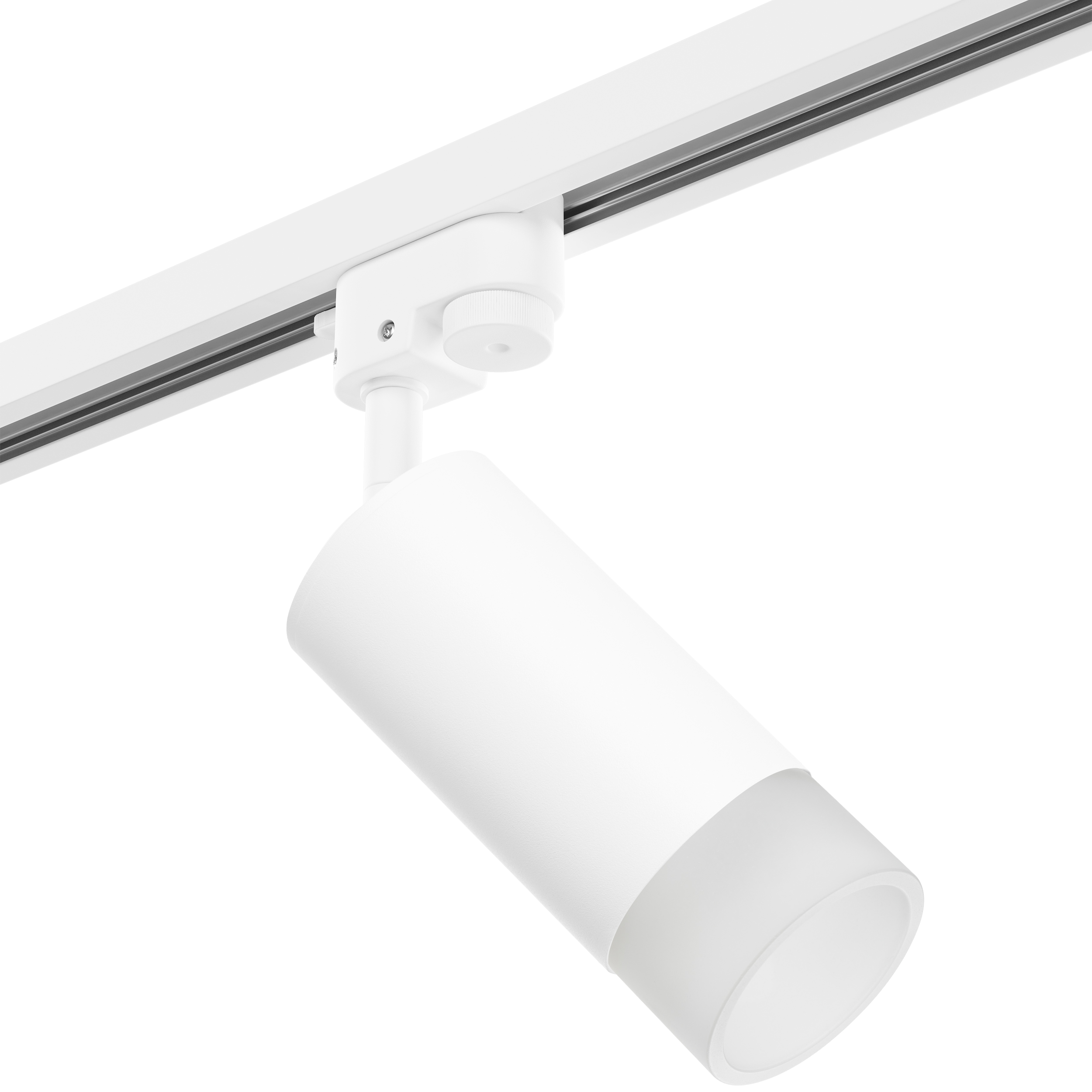 Lightstar Комплект со светильником Rullo Rullo Lightstar R1T43631 фото