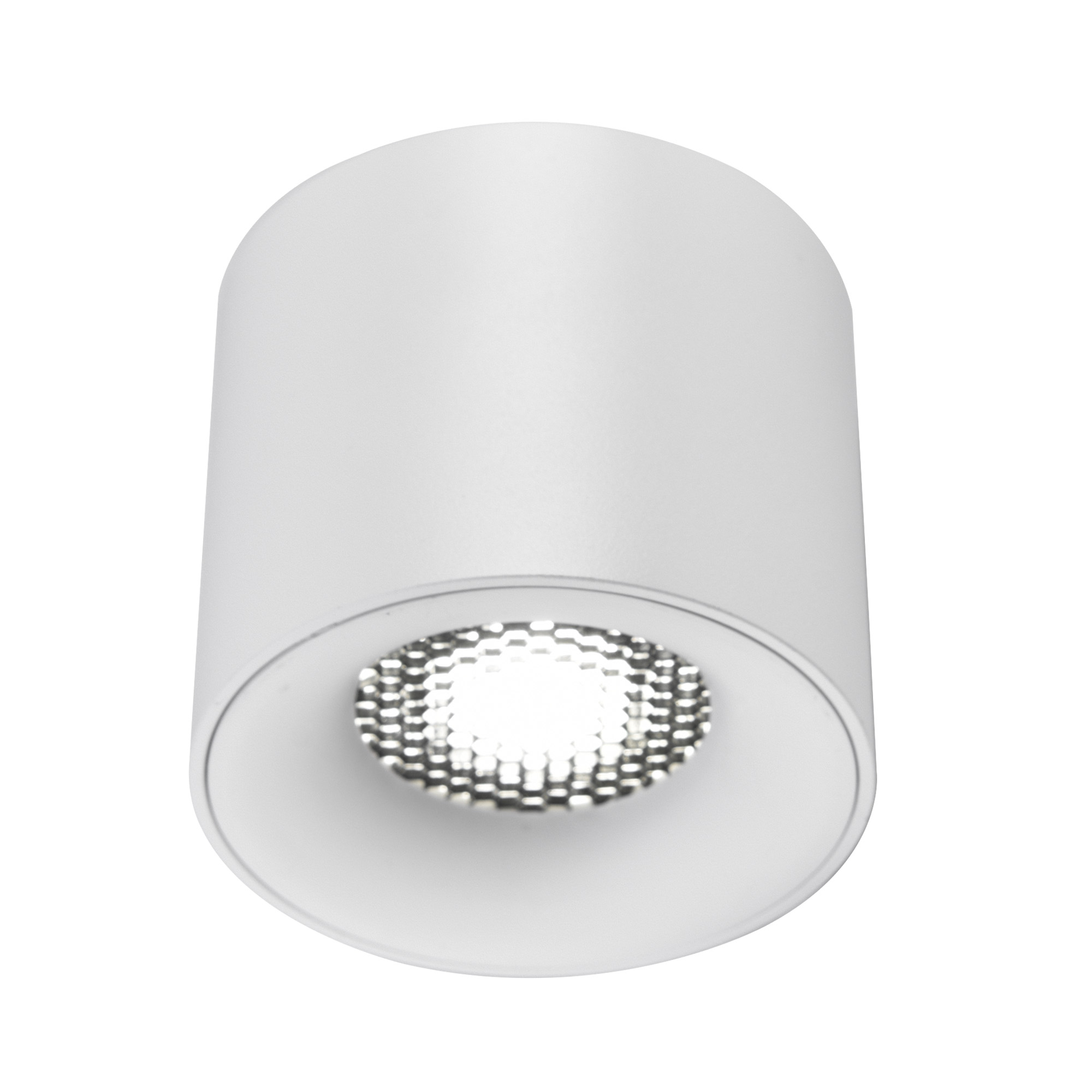 ST LUCE ST761.533.10 Светильник потолочный белый LED 1*10W 3000K 530Lm Ra 36° IP20 D80xH70 170-240VV фото