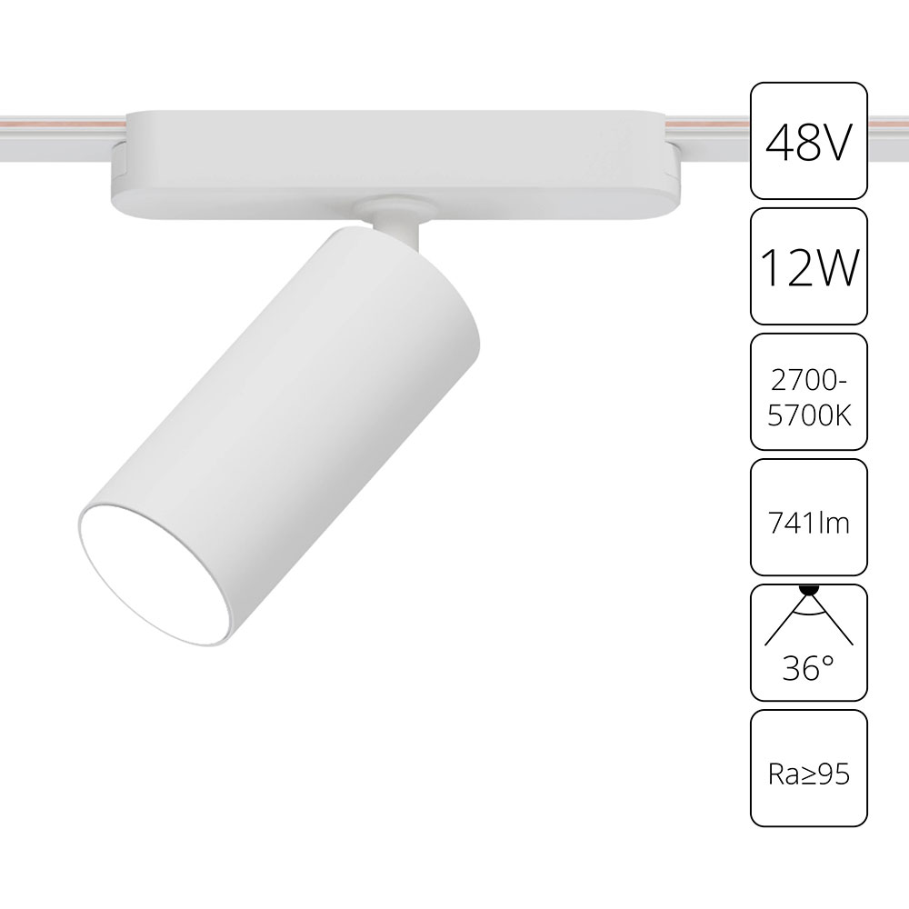 Arte Lamp A2958PL-1WH СВЕТИЛЬНИК ПОТОЛОЧНЫЙ RAPID 48В 12Вт макс 741kv 2700-6500К 95+ 36° smart фото