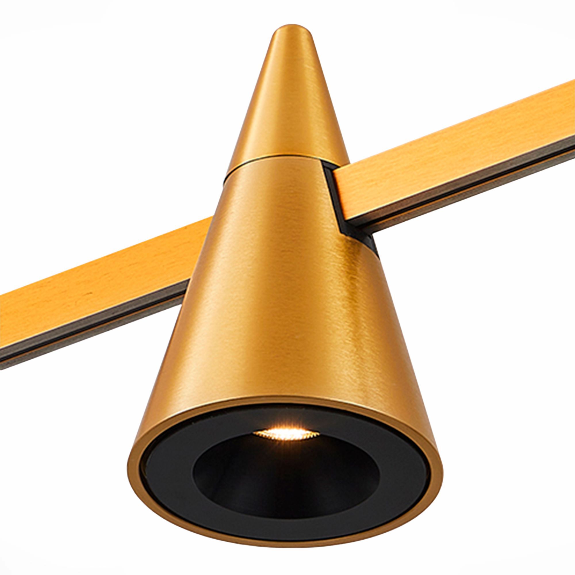 ST LUCE ST813.246.05 Магнитный трековый светильник FARM Золотистый LED 1*5W 4000K 272Lm Ra90 60 IP20 D70xH1 фото