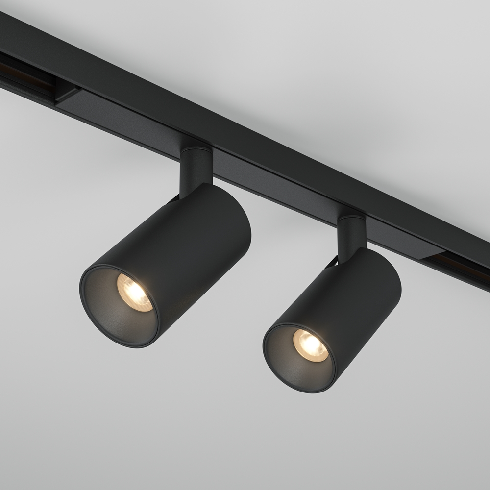 Maytoni Technical Трековый светильник TR176-1-2X5WTW-M-B фото