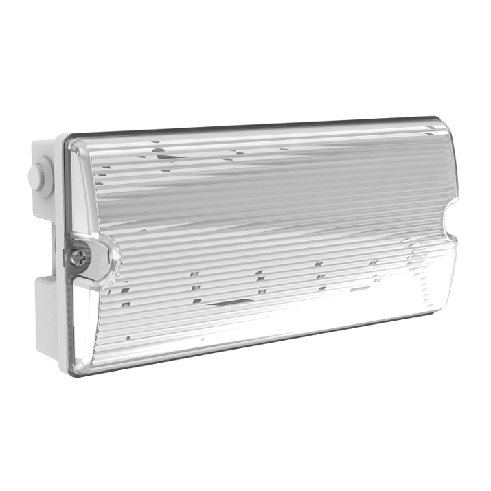 Varton Светильник аварийно-эвакуационный Compact серии Advanced 2W IP65 12-24V AC/DC фото