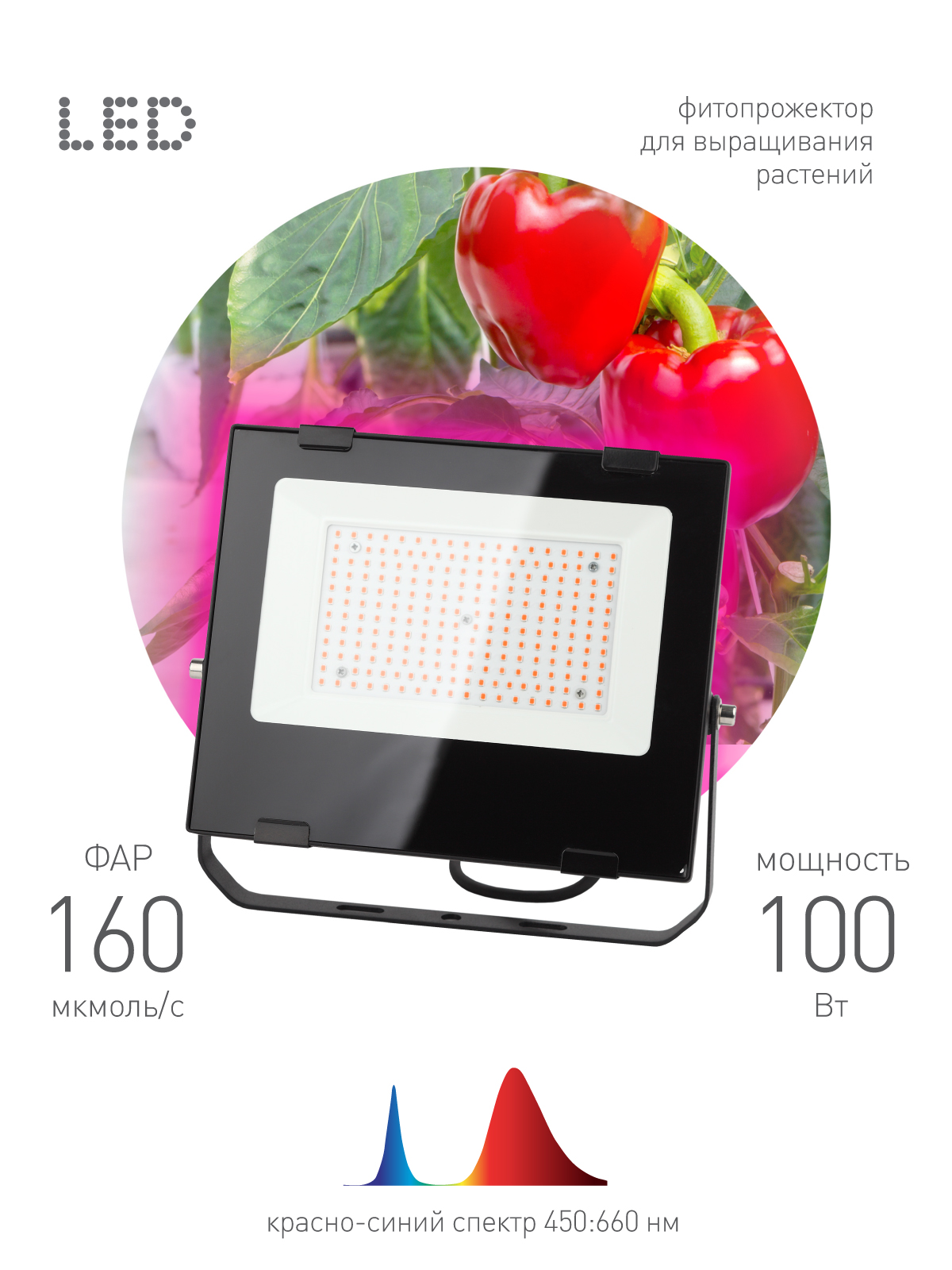 ЭРА Фитопрожектор для растений светодиодный FITO-100W-RB-LED для цветения и плодоношения красно-синего спектра 100 Вт фото