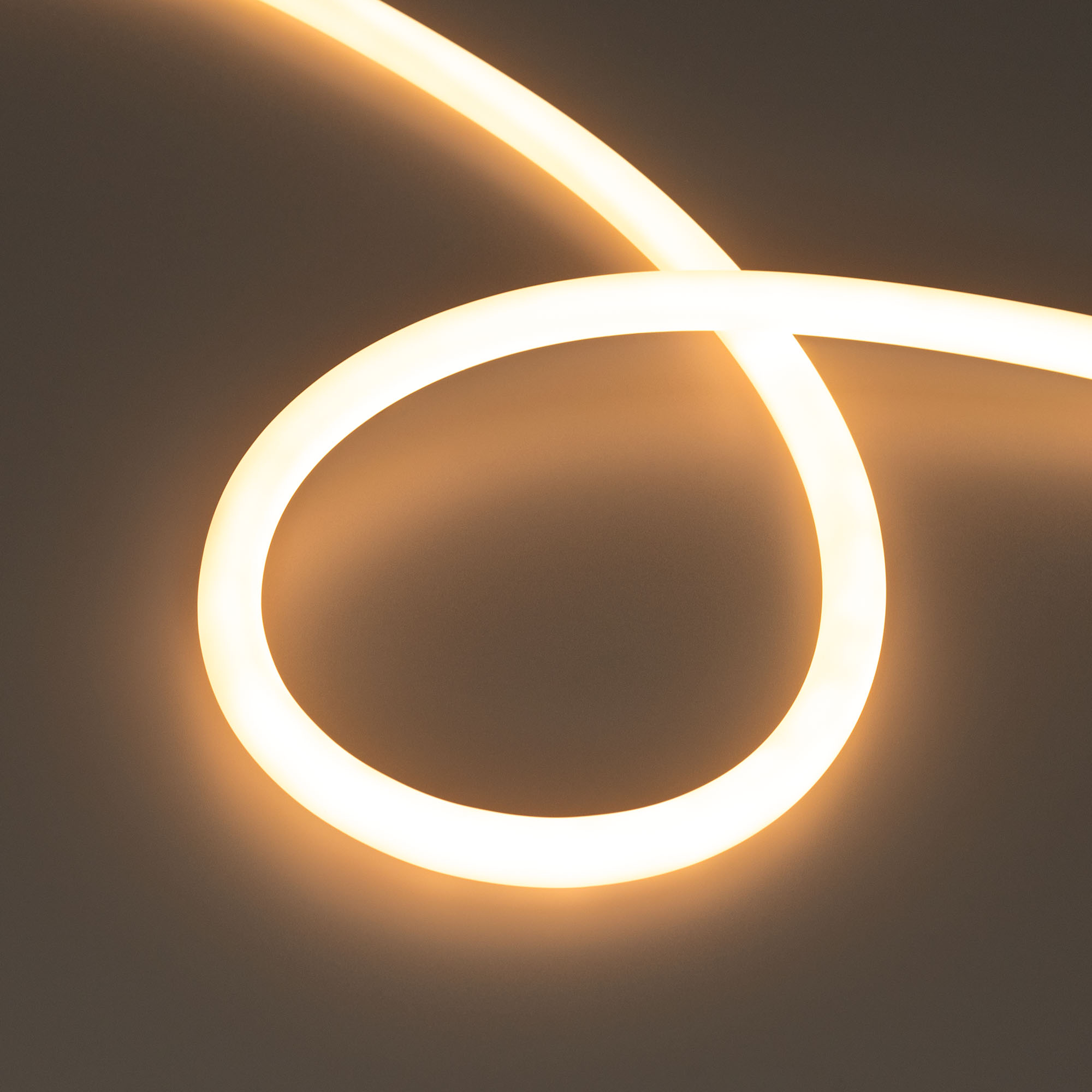 Arlight Лента герметичная MOONLIGHT-TOP-X560-D13mm 24V Warm2300 360deg (8.6 W/m, IP65, CSP, 5m, wire x1) (Прямой вывод кабеля) фото