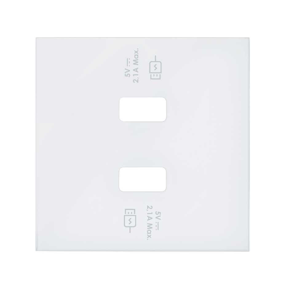 Simon 100 Белый матовый Накладка для 2-х зарядных устройств USB SmartCharge фото
