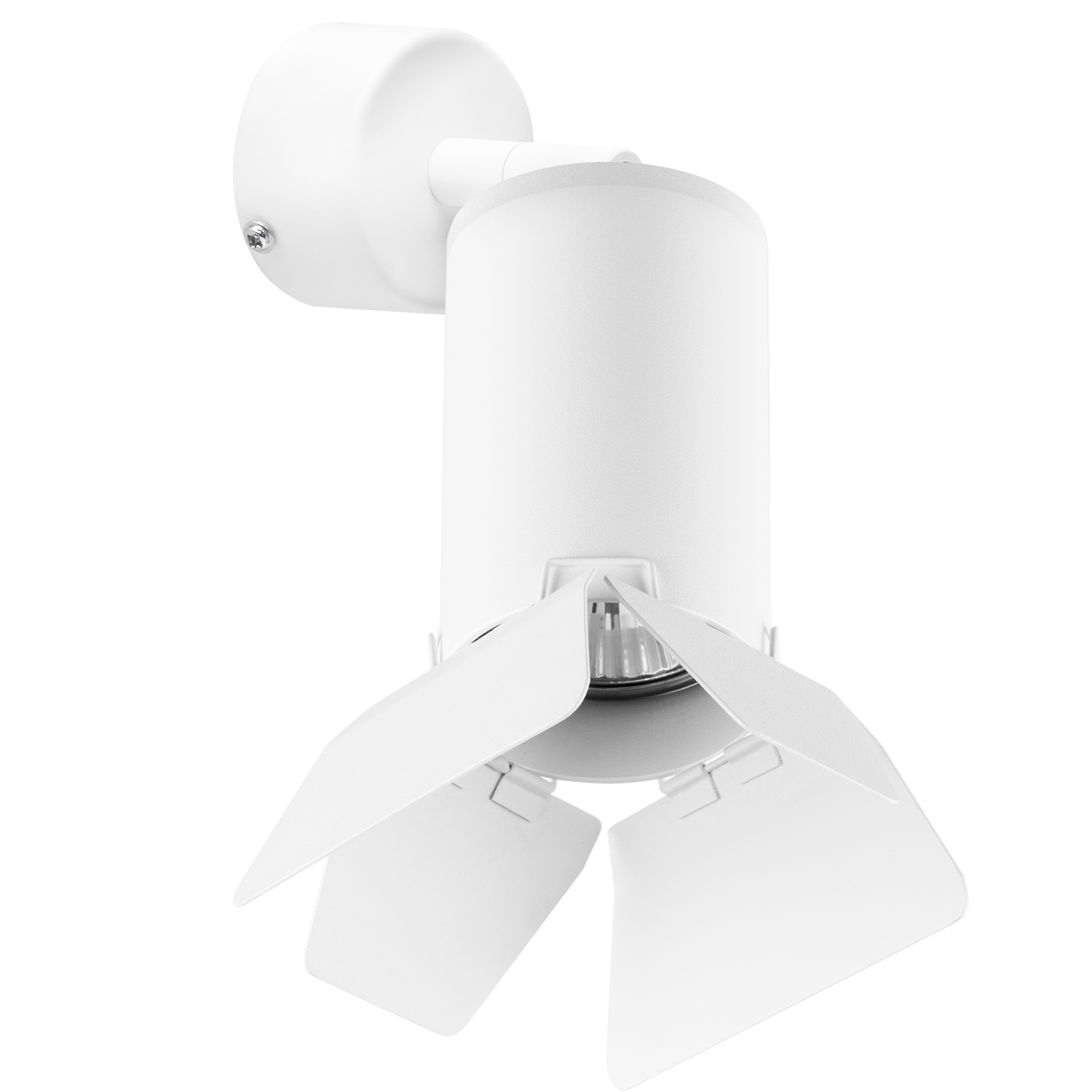 Lightstar Комплект со светильником Rullo Rullo Lightstar RB436436 фото