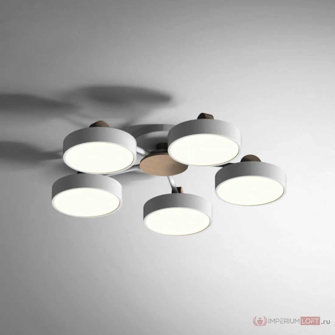 ImperiumLoft Потолочная люстра MOVE 5 Gray фото