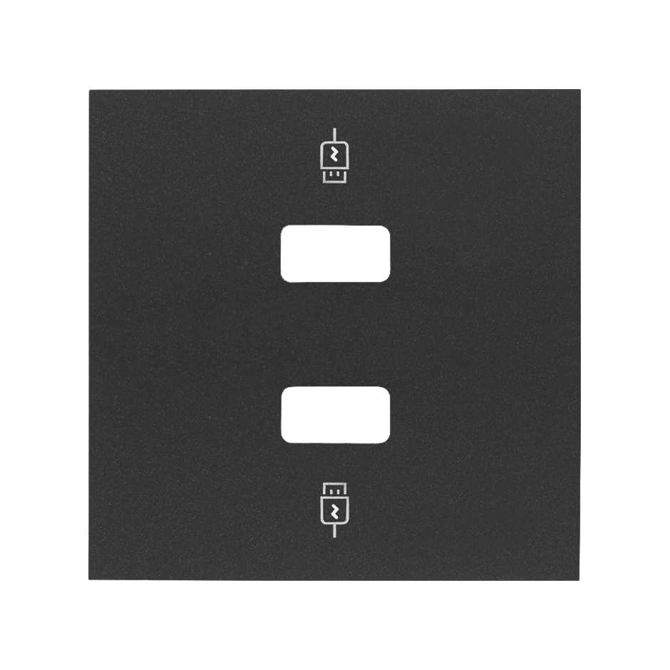 Simon 100 Черный матовый Накладка для зарядного устройства 2хUSB фото
