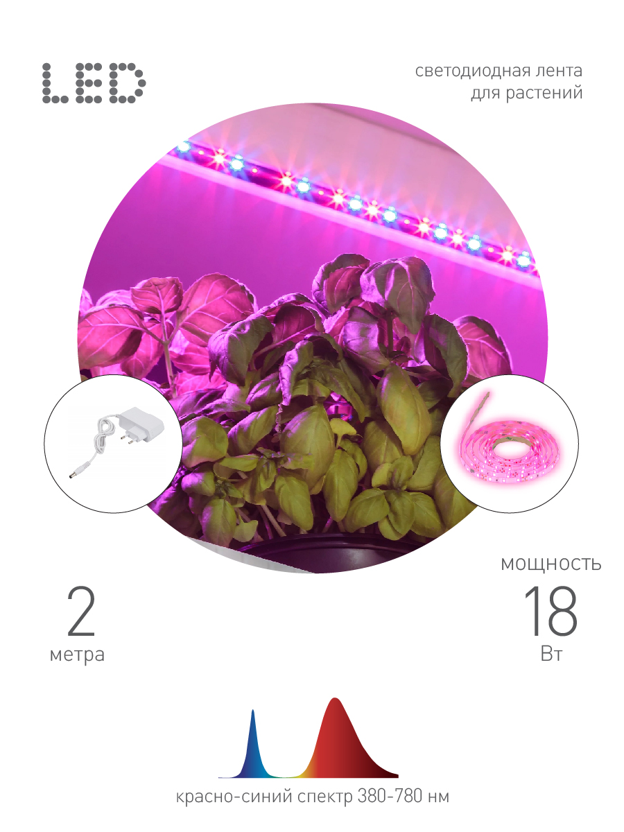 ЭРА Светодиодная лента для растений FITO-Strip Light-RB-2m красно-синего спектра, 2 м, IP65 с адаптером 12V в комплекте фото