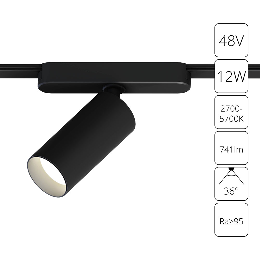 Arte Lamp A2958PL-1BK СВЕТИЛЬНИК ПОТОЛОЧНЫЙ RAPID 48В 12Вт макс 741kv 2700-6500К 95+ 36° smart фото