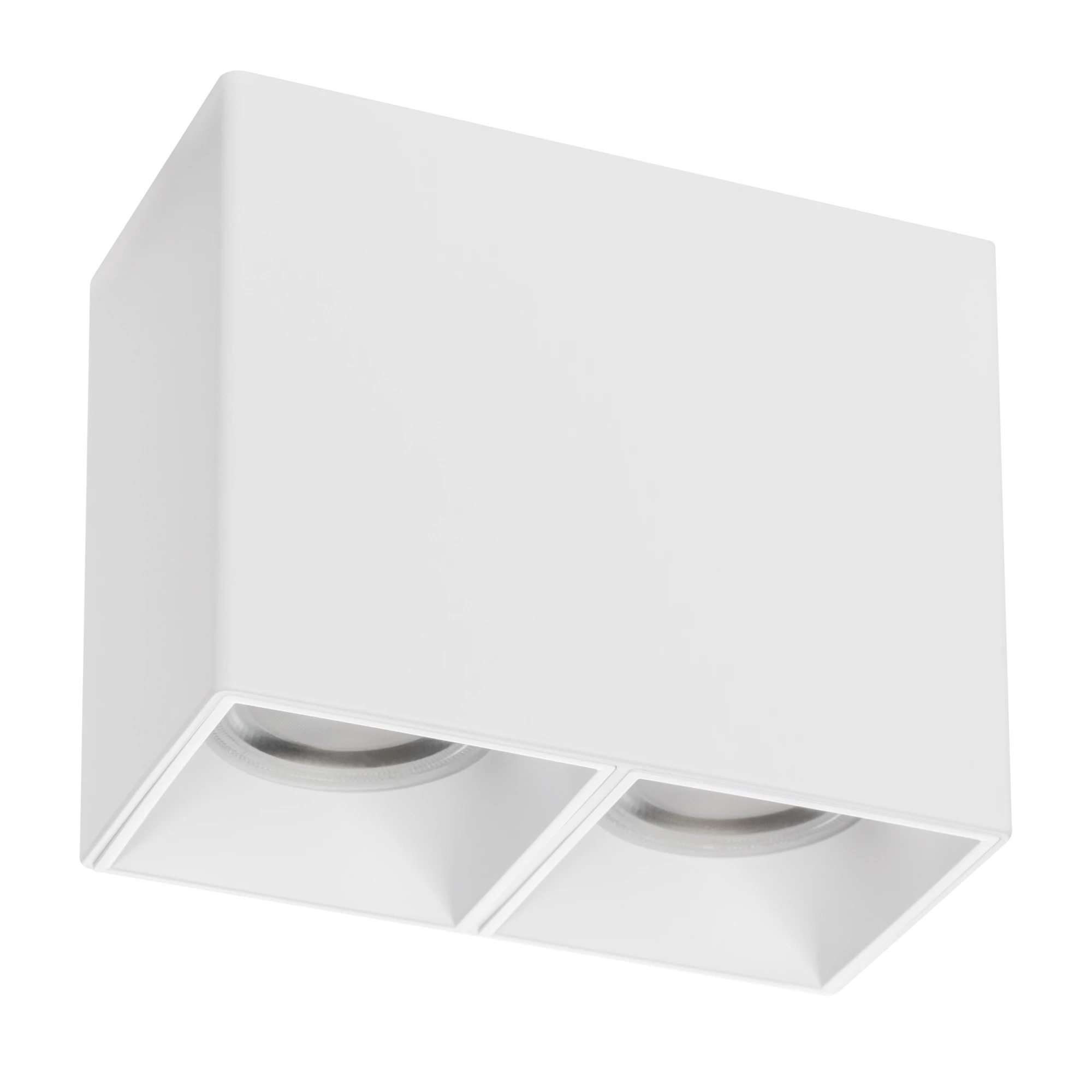 Lightstar 213366 Рамка (светильник) PVC д/LED-модулей 941хх и LED-ламп D50мм RULLO 2x QUAD БЕЛЫЙ, шт фото