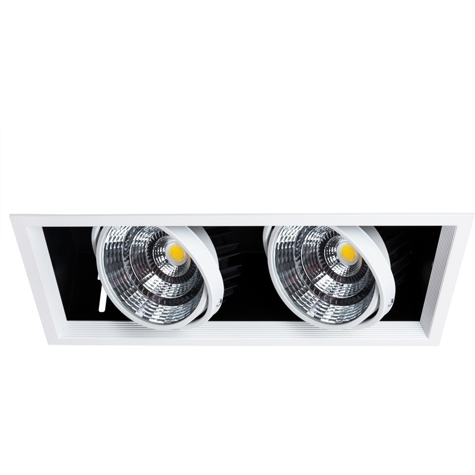 Arte Lamp A8450PL-2WH INSTYLE  Светильник карданный LED белый фото
