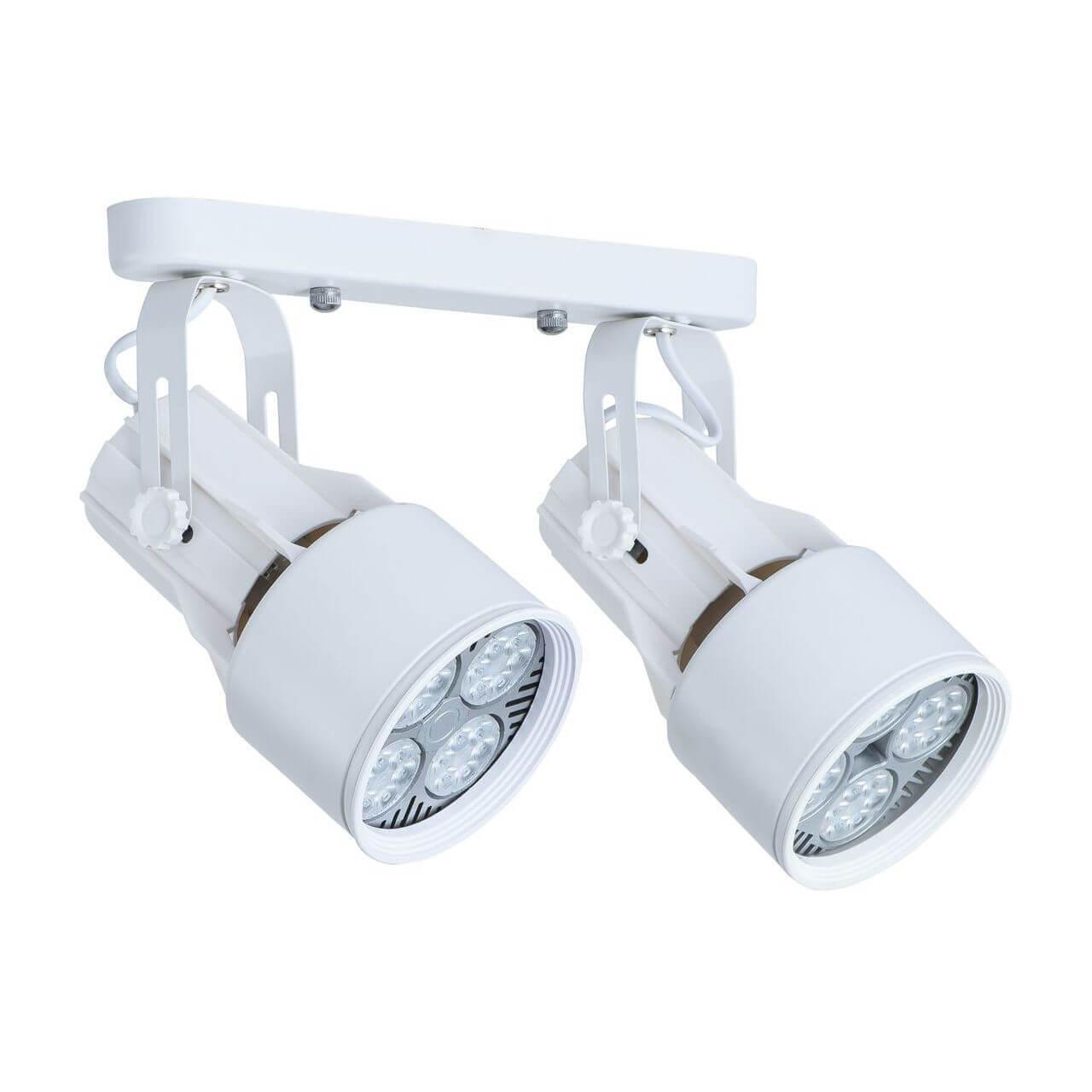 Arte Lamp LYRA Потолочные светильники A6252PL-2WH фото