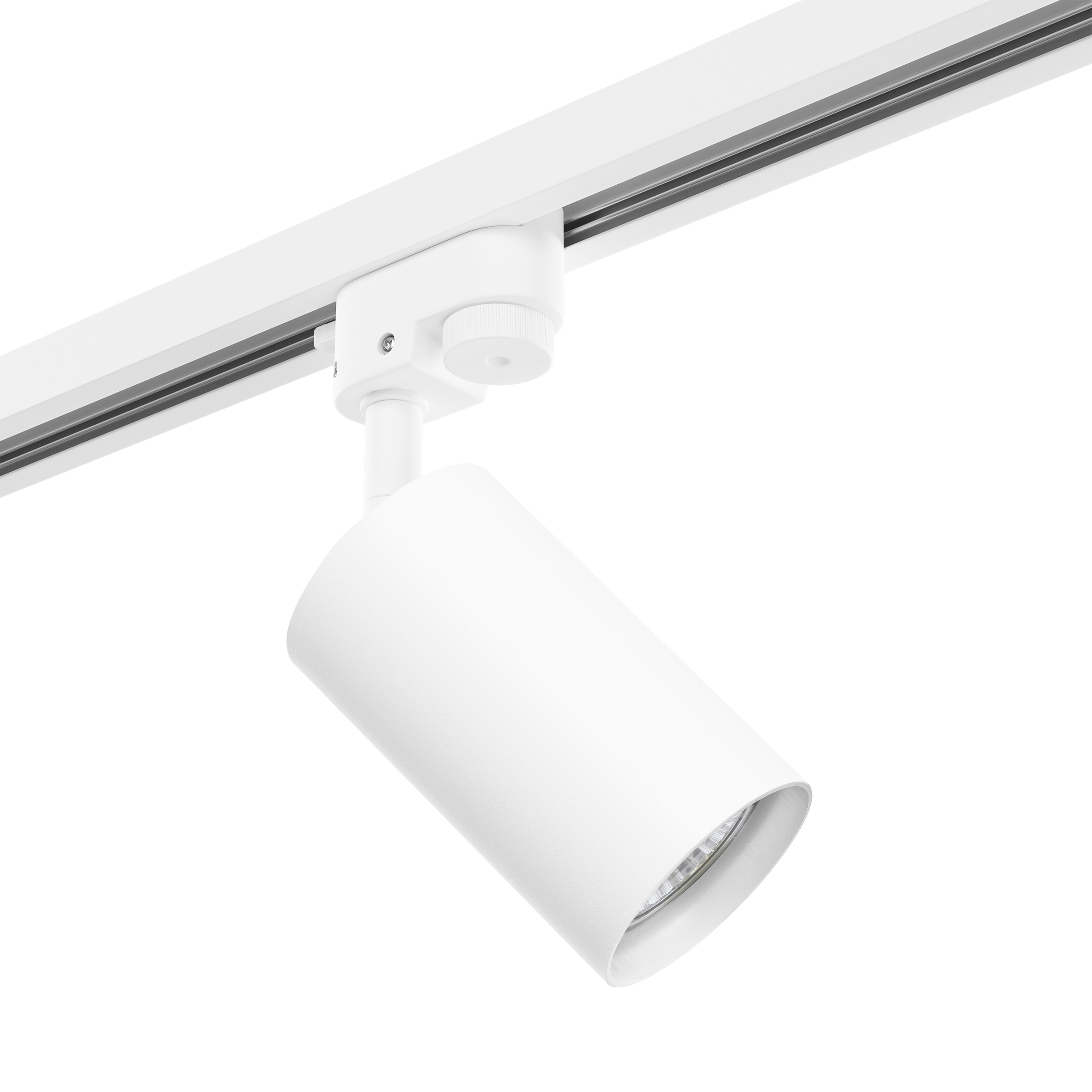 Lightstar Комплект со светильником Rullo Rullo Lightstar R1T436 фото