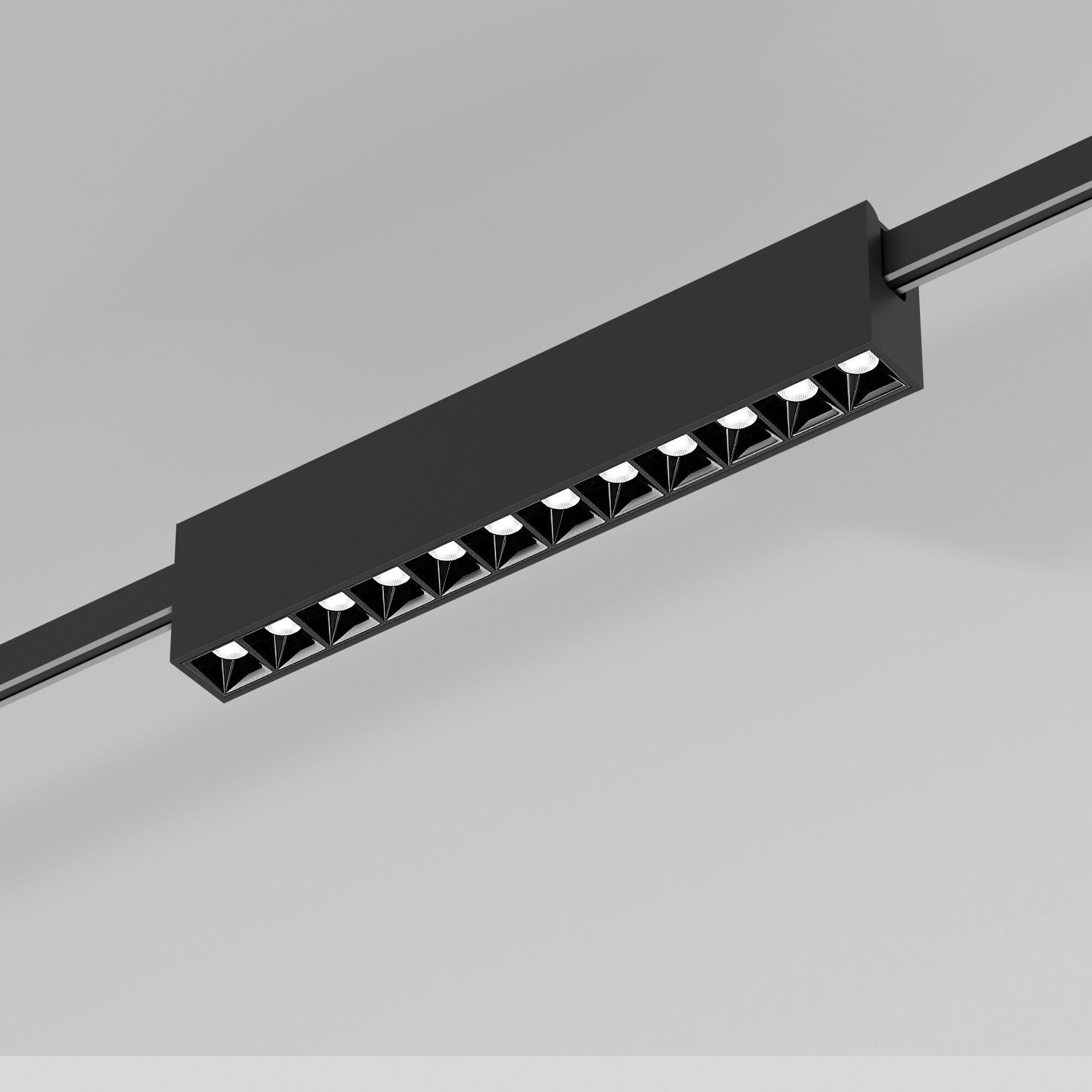 Elektrostandard 85121/01 Трековый светильник 12W 3000K  (чёрный)  Esthetic Magnetic фото