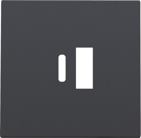 Niko Накладка USB Type-A-C, антрацит фото