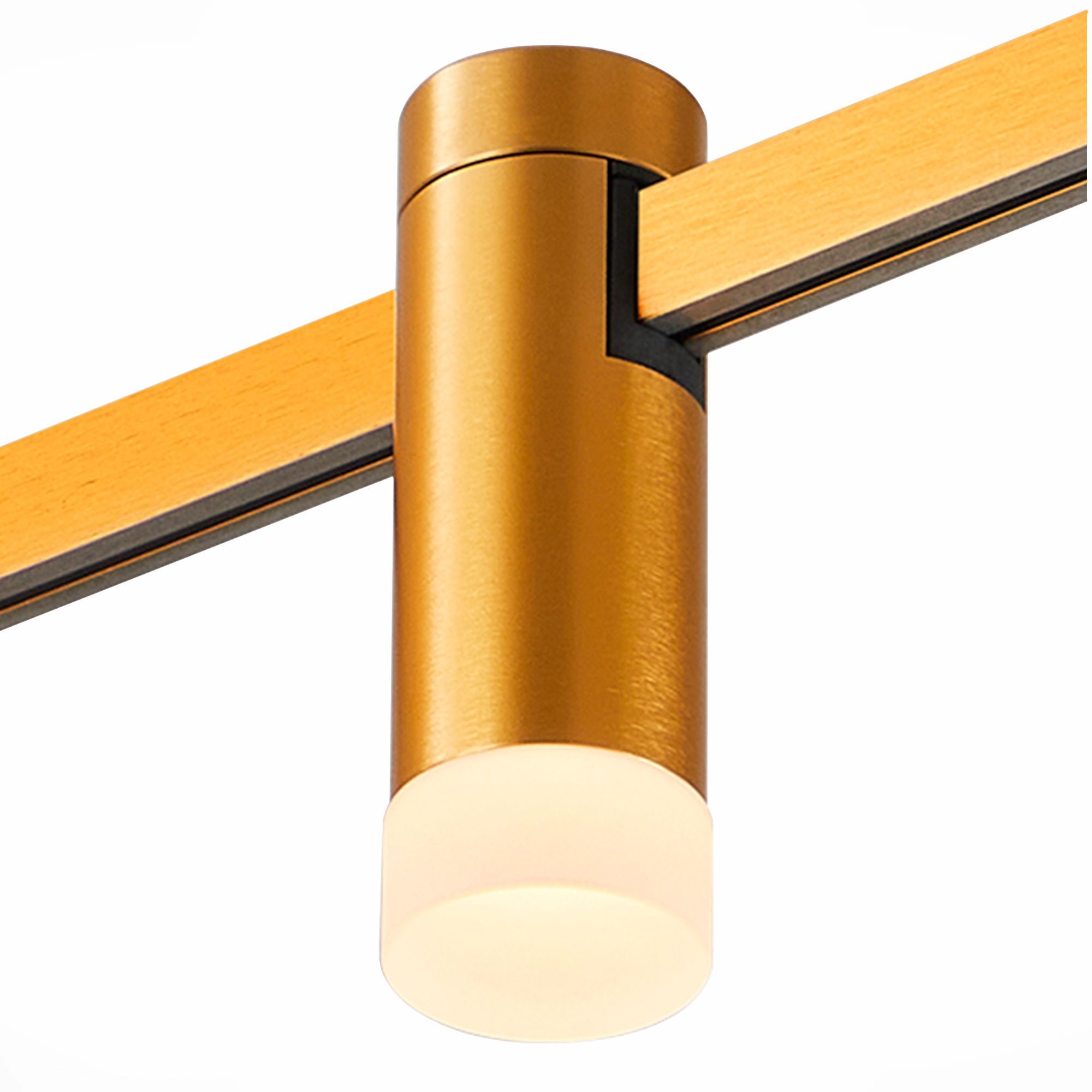 ST LUCE ST812.246.03 Магнитный трековый светильник FARM Золотистый LED 1*3W 4000K 93Lm Ra90 120 IP20 D29xH9 фото