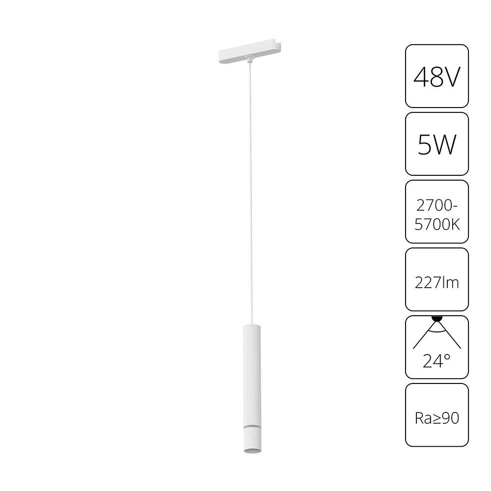 Arte Lamp A2959PL-1WH СВЕТИЛЬНИК ПОДВЕСНОЙ RAPID 48В 5Вт макс 227лм 2700-6500К 95+ 24° smart фото