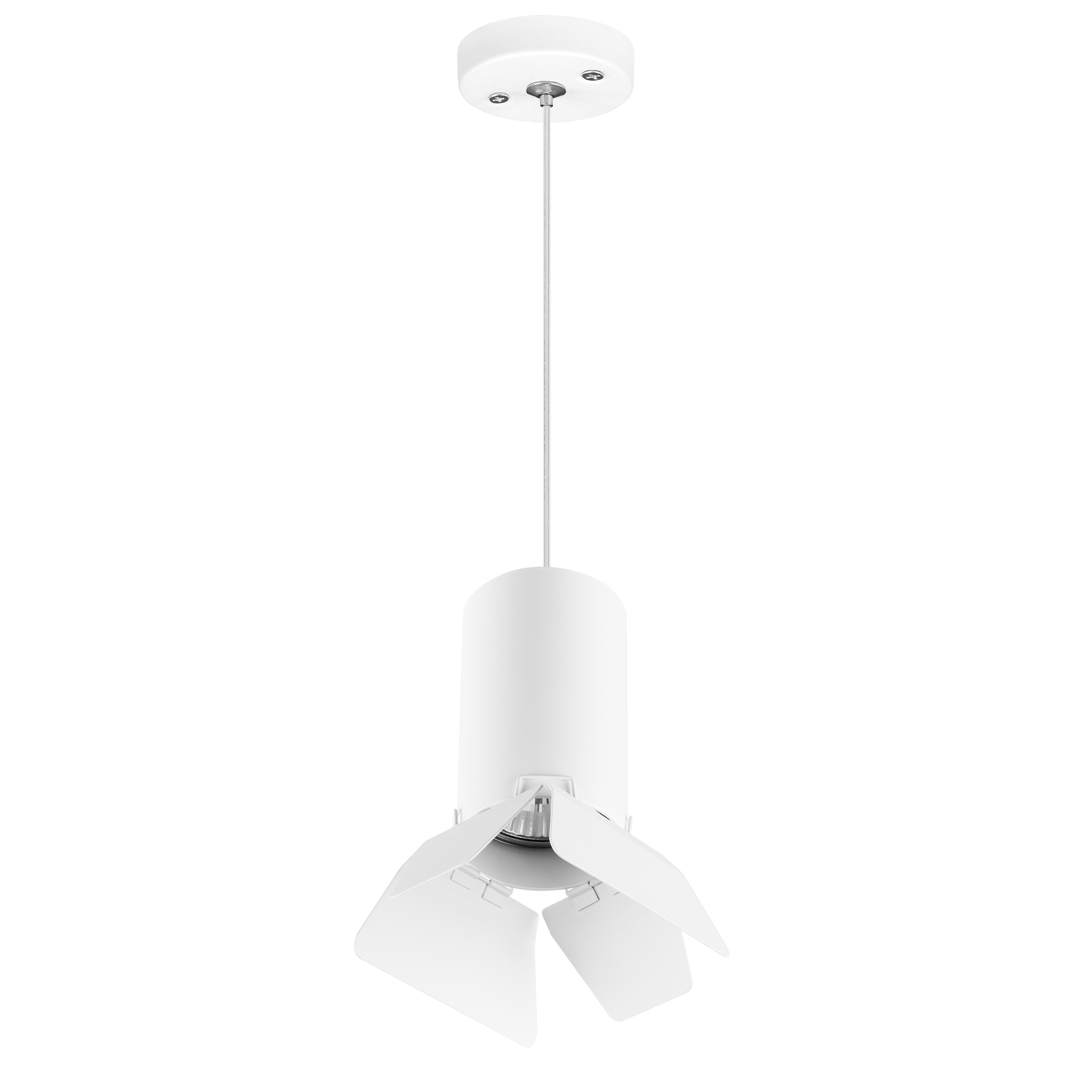 Lightstar Комплект со светильником Rullo Rullo Lightstar RP436436 фото