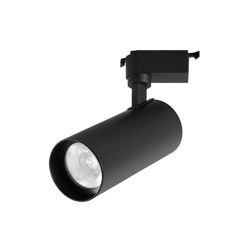 Jazzway Светильник светодиодный PTR  0620 20w 3000K 24° BL (чёрный) фото