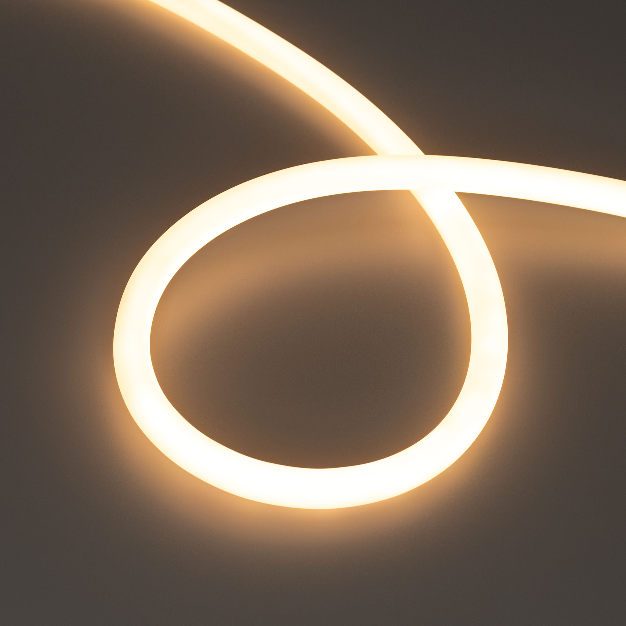 Arlight Лента герметичная MOONLIGHT-TOP-X560-D13mm 24V Warm2700 360deg (8.6 W/m, IP65, CSP, 5m, wire x1) (Прямой вывод кабеля) фото