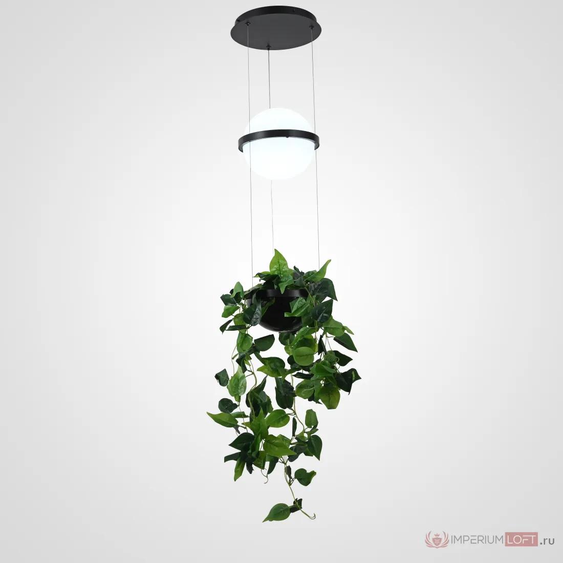 ImperiumLoft Подвесной светильник PALMA Wall lamp шар + вазон фото